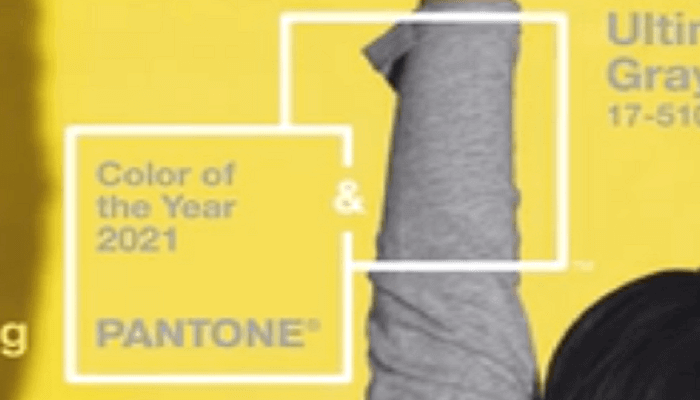 Les couleurs de l’année 2021 par Pantone
